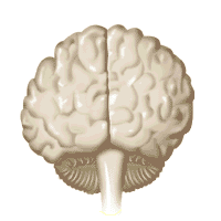 go to brain disorders