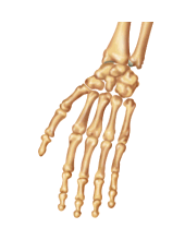 go to wrist and hand joint disorders