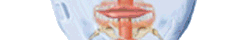 Mouth