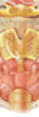 Throat