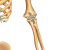 Elbows