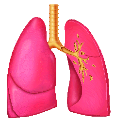 go to lung disorders