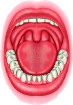 return to mouth