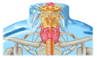 go to neck disorders