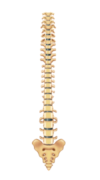 go to spine disorders