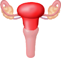 go to uterus disorders